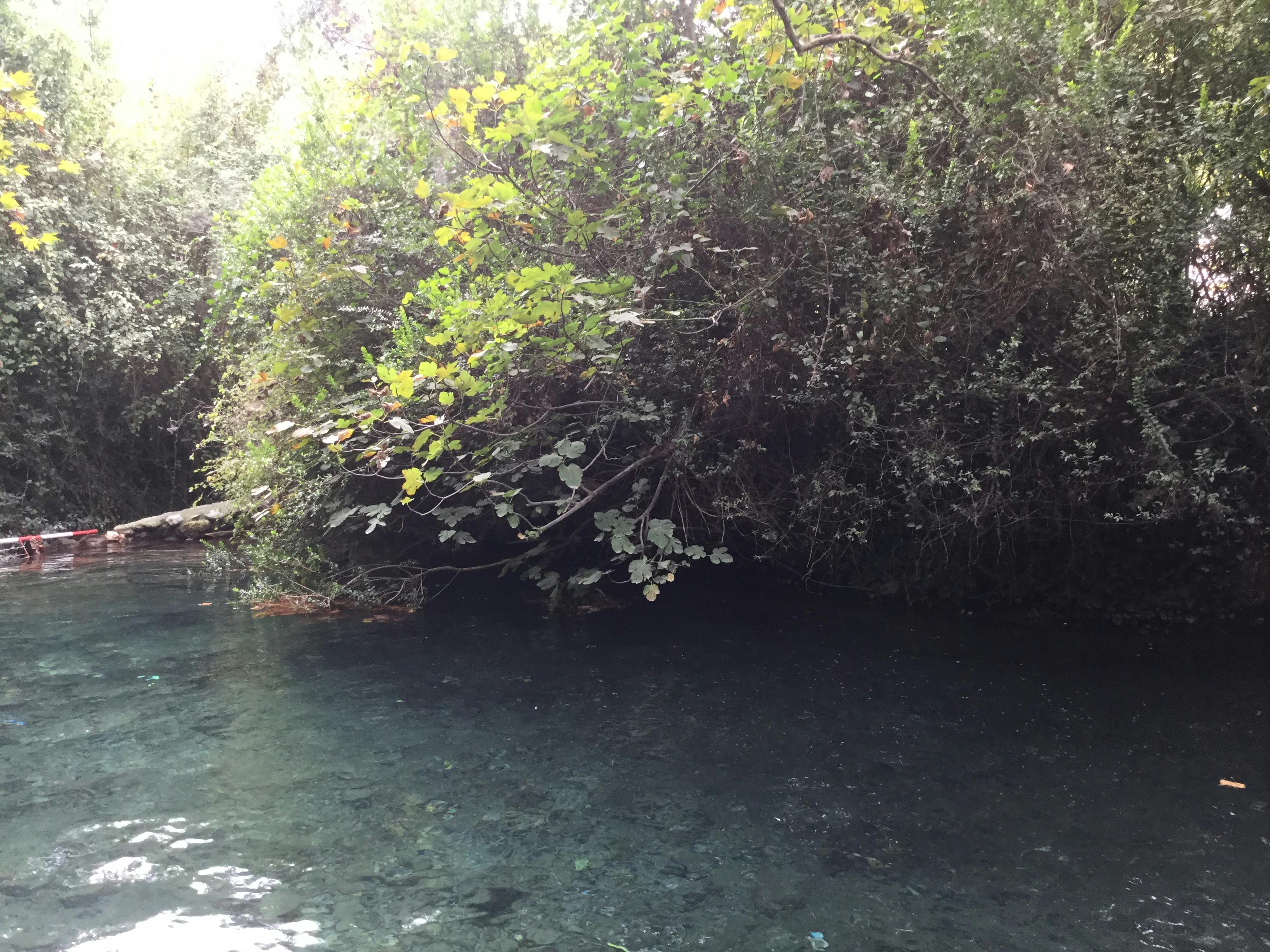 Traditionelles slowenisches Gebäck auf einem Marktstand
