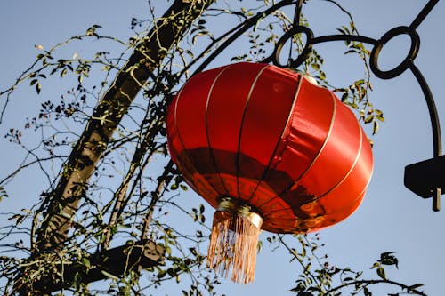 A Chinese Lantern Hanging 