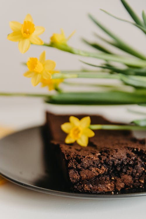 Fleur Jaune Sur Gâteau Au Chocolat Brun