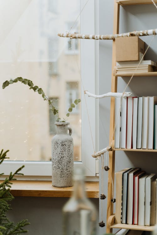 A Bookcase and a Eucalyptus Branches in a Vase on a Windowsill 