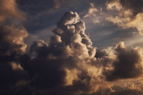 구름, 로우앵글 샷, 밀집한의 무료 스톡 사진
