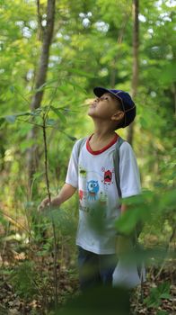 Focused ethnic child in casual wear and cap looking up among green trees in summer woods - Fotografer Sidoarjo