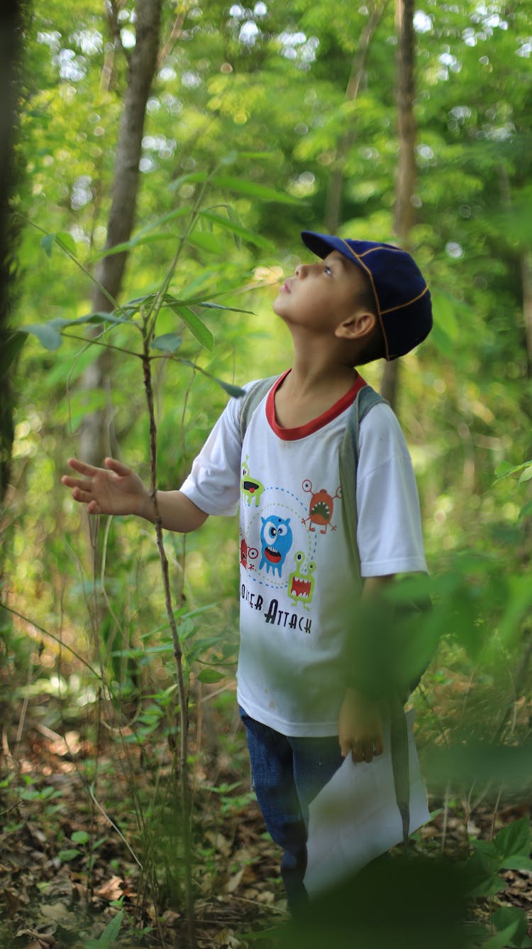 Focused Ethnic Kid Exploring Summer Woods During Hike