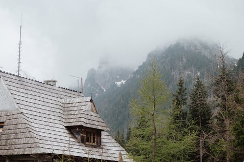 Foto profissional grátis de árvores, campo, casa de madeira