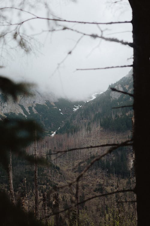 бесплатная Бесплатное стоковое фото с Аэрофотосъемка, вертикальный выстрел, горы Стоковое фото