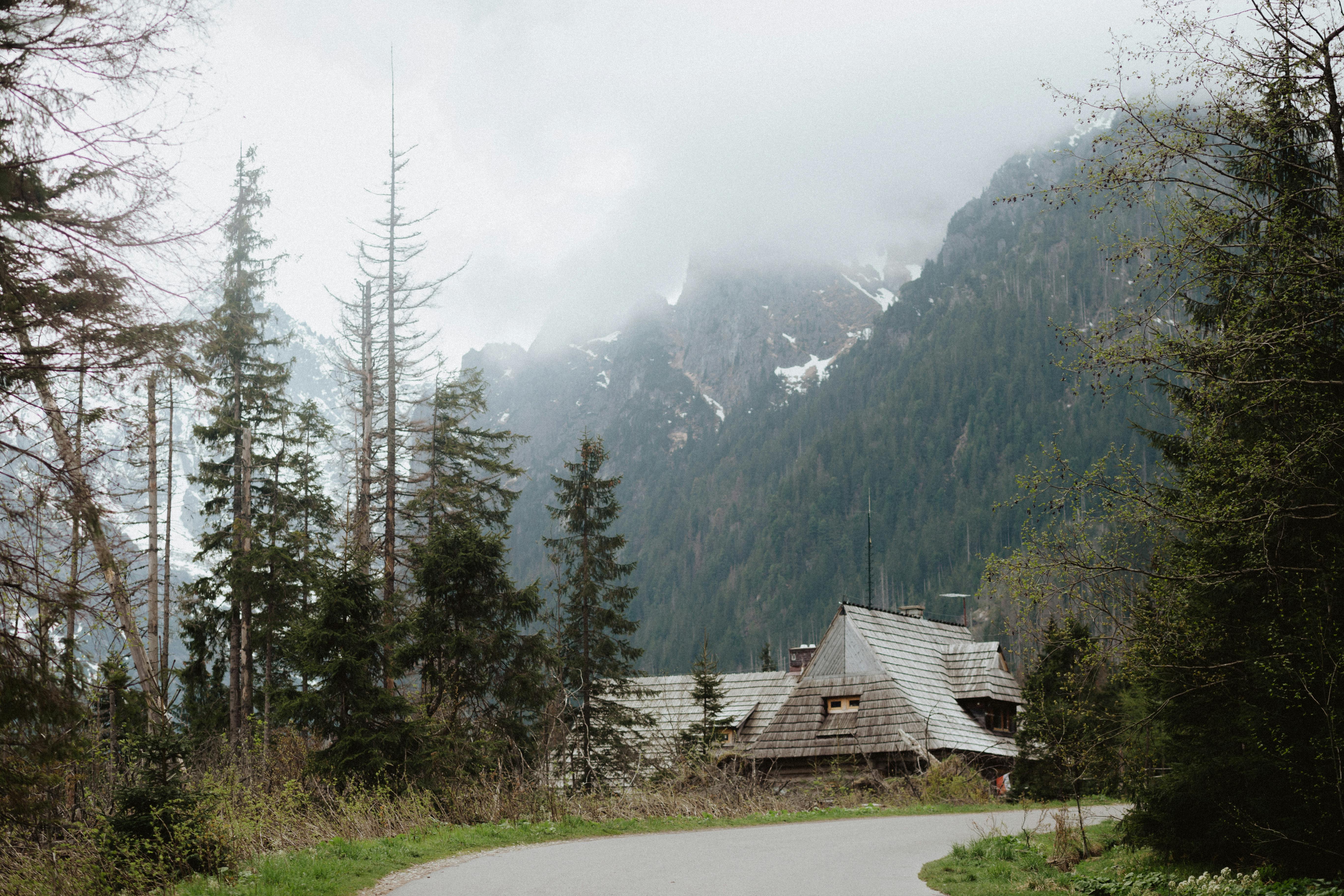 Charming rustic house nestled in a foggy mountain landscape surrounded by conifer trees and a winding road.