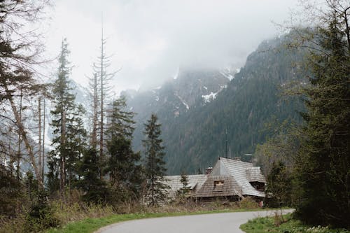 Free Wooden House Near Green Trees on Mountains On a Foggy Day Stock Photo