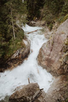 A scenic view of a mountain stream cascading over rocks surrounded by lush forest.