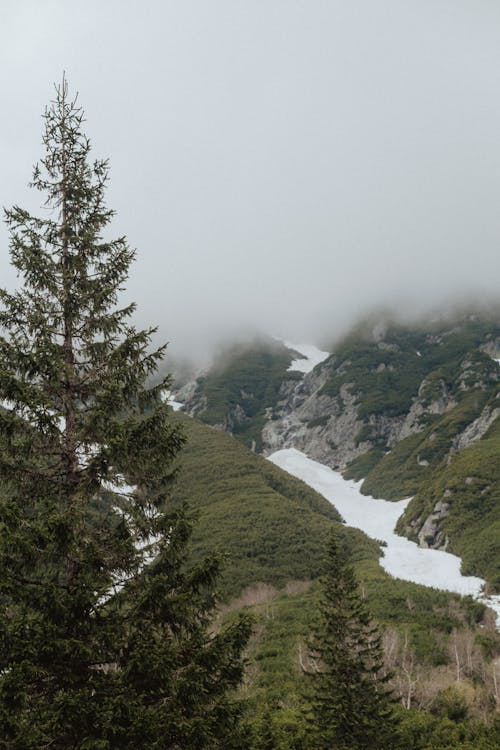 Photo of Green Mountain With Snow On A Foggy Day
