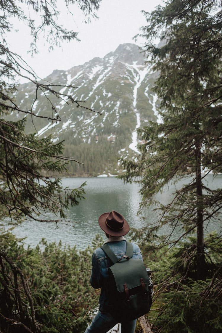 Back View Of A Person Overlooking The Mountain Lake Scenery