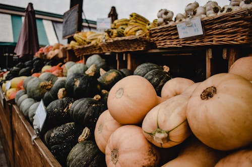 Butternut Squash and Green Pumpkins on Display 