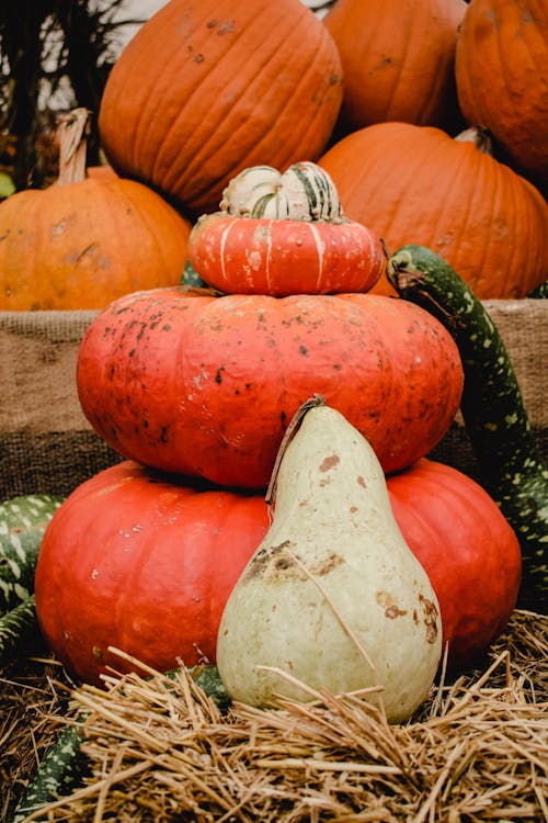 Orange and White Pumpkin on Brown Wooden Table