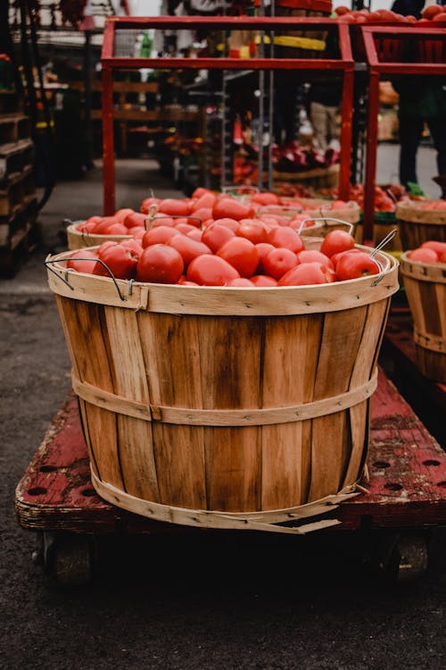 Fresh Tomato Fruits in Brown Wooden Buckets