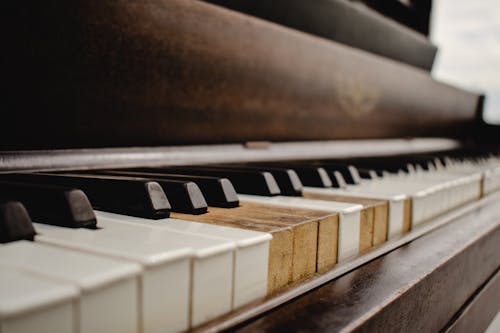 Miễn phí Phím đàn Piano Màu Nâu Và Trắng Ảnh lưu trữ
