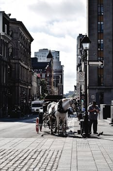 Scenic view of a horse-drawn carriage on a Montreal street, showcasing classic urban architecture.
