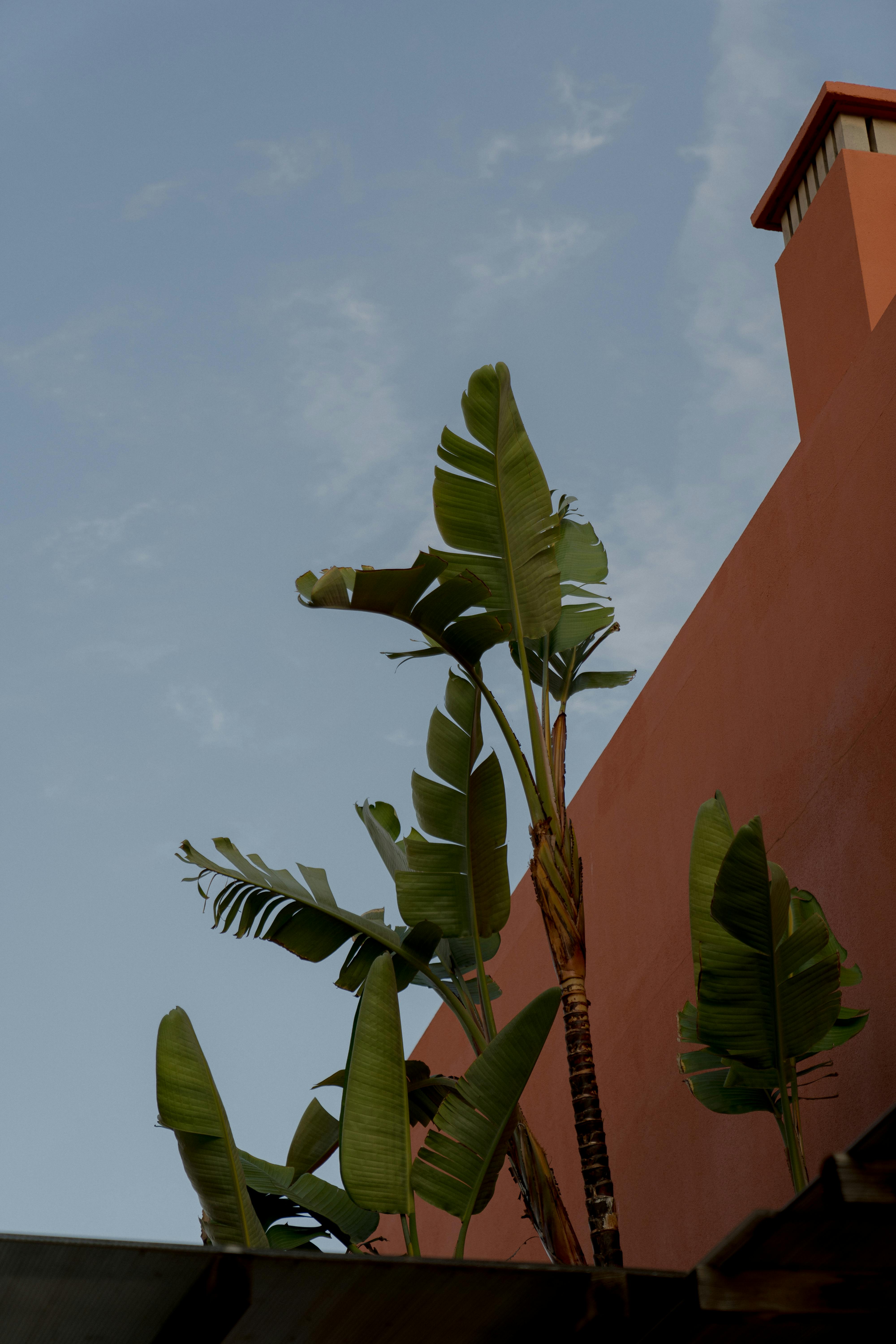 Gratis Immagine gratuita di alto, ambiente, architettura Foto a disposizione