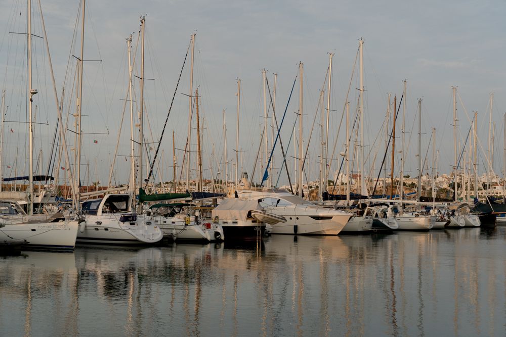 Yates en la bahía