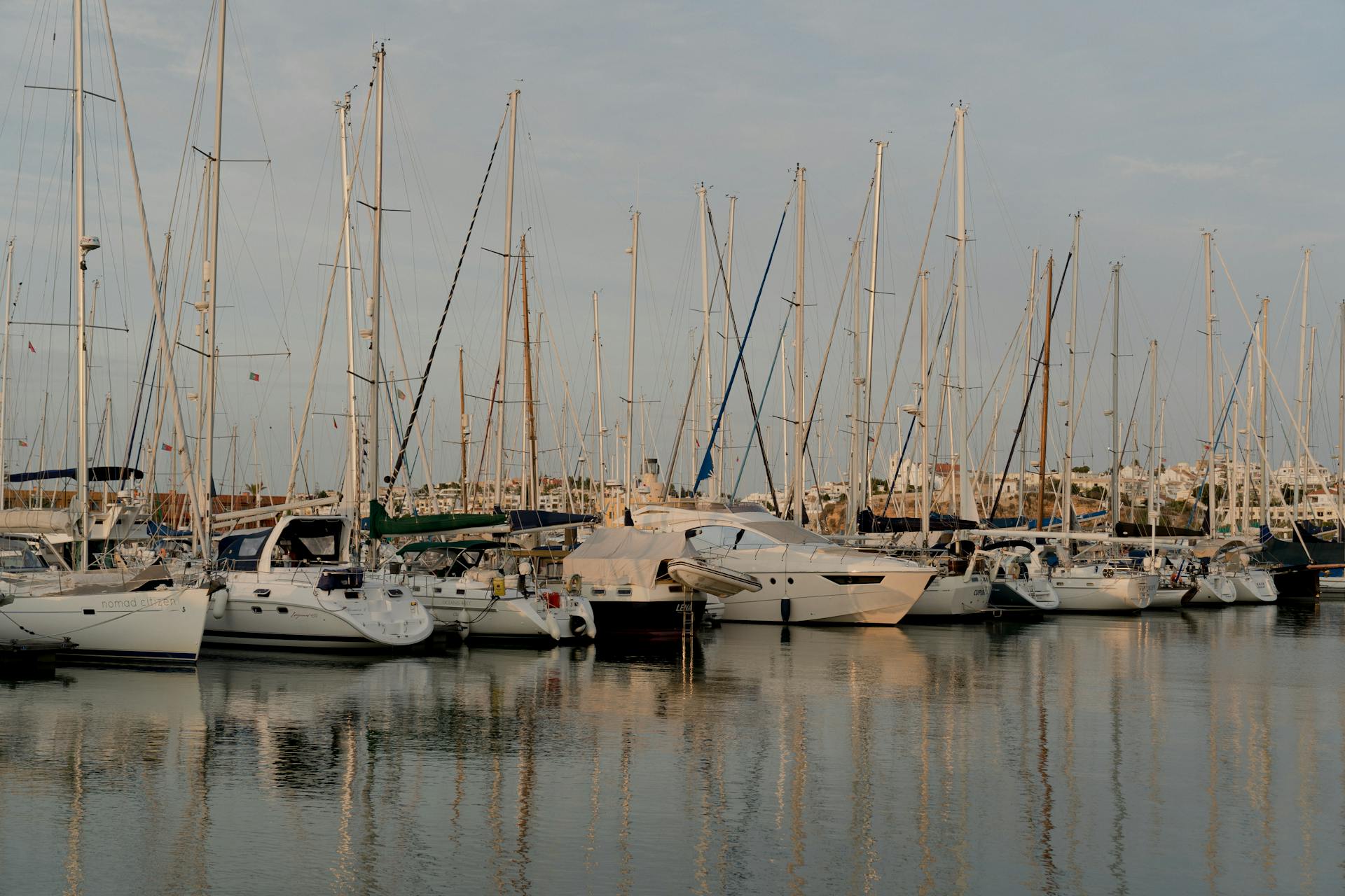 Multiple Yachts Anchored on the Shore