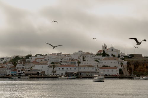 Foto d'estoc gratuïta de algarve, arquitectura, buuldings