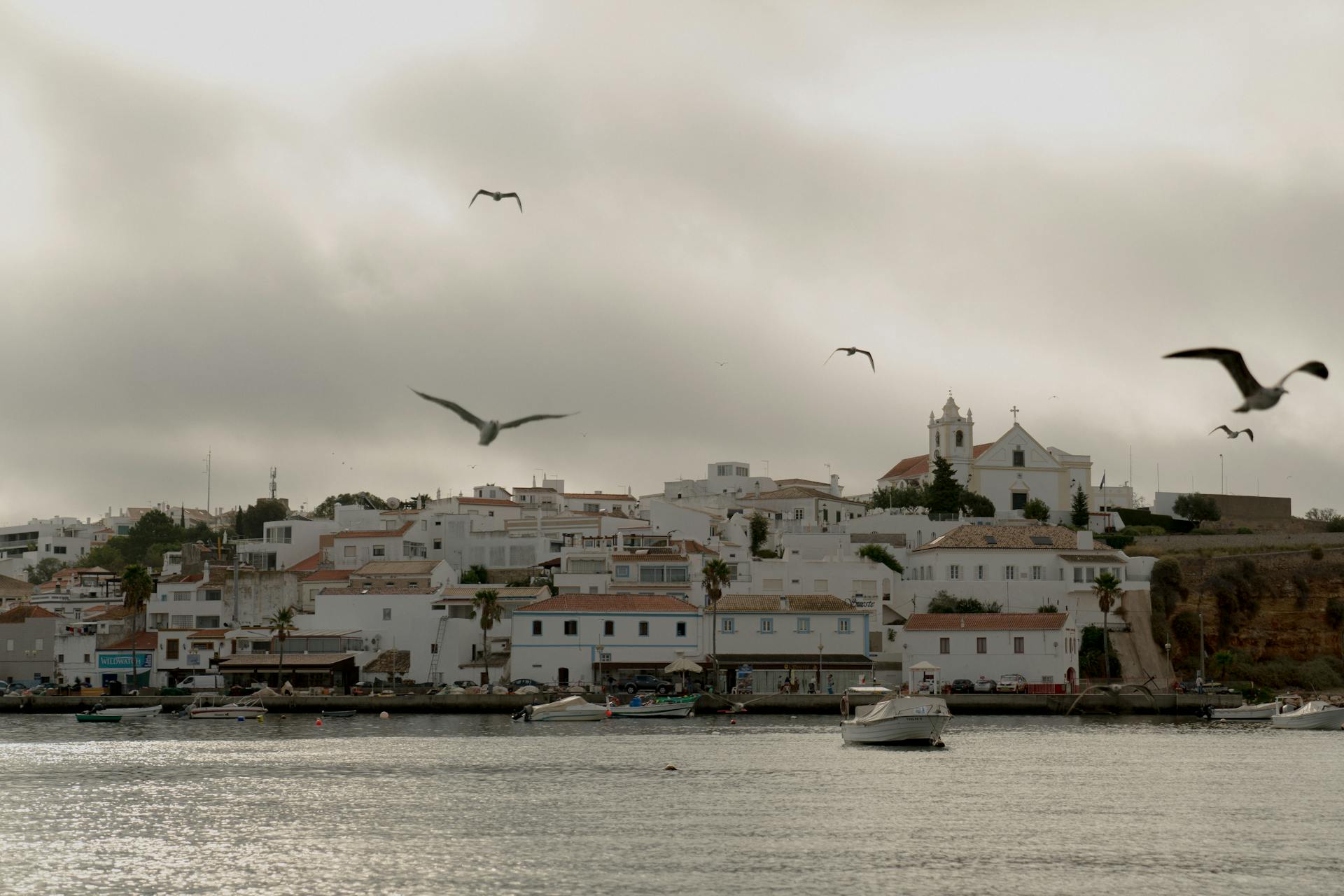 Charming coastal view of Ferragudo, Portugal with seagulls soaring over traditional architecture.