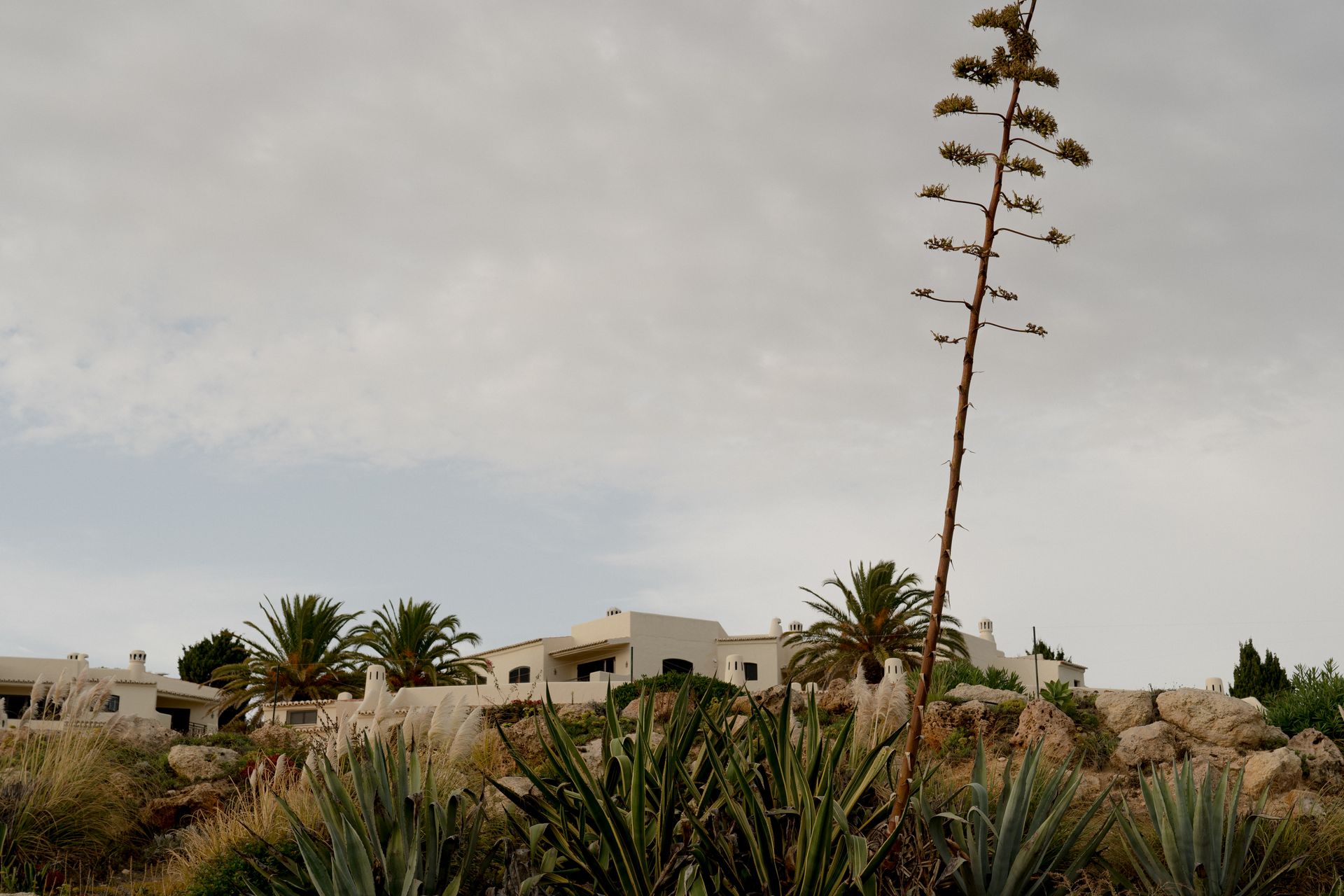 Mediterranean-style buildings nestled among palm trees and agave under a cloudy sky, showcasing tranquility and natural beauty.