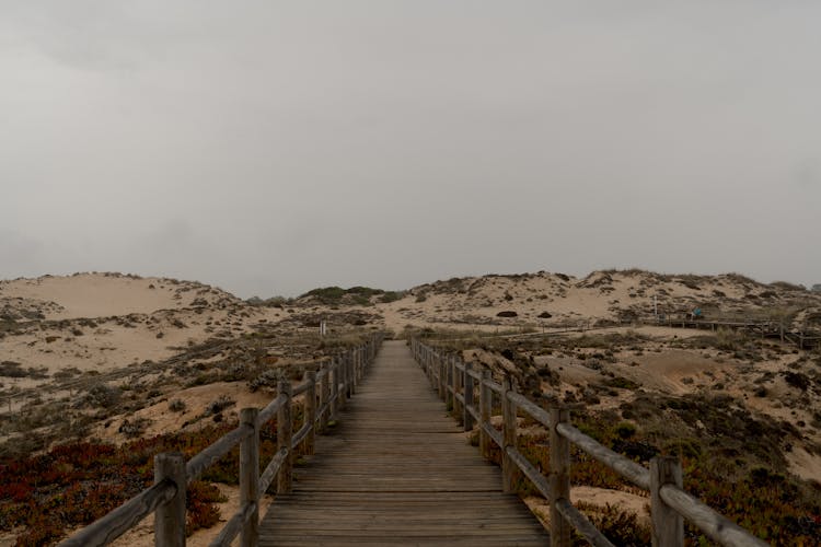 Brown Wooden Bridge On Desert Land With Shrubs