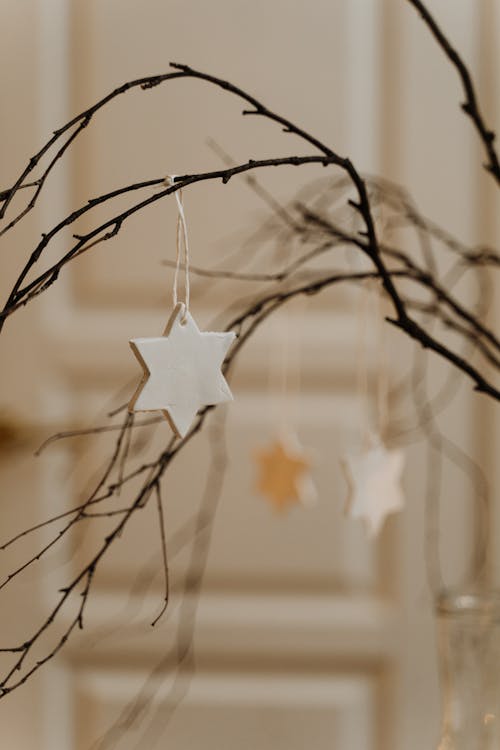 Cutout Stars Hanging on Dried Twigs