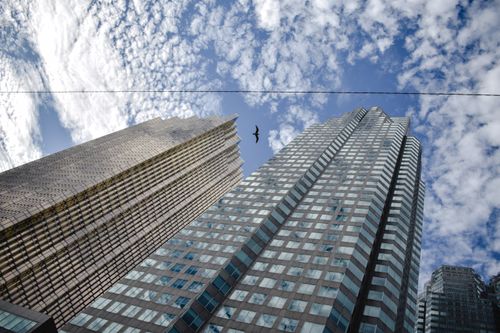 Free High-rise buildings in Toronto, Canada, with a flying bird and blue sky overhead. Stock Photo
