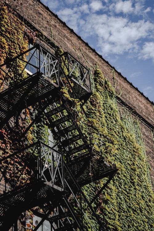 Free A brick building in Toronto draped in green foliage with a metal fire escape in view against a clear blue sky. Stock Photo