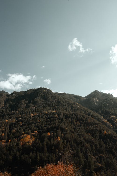 Picturesque view of spacious hilly terrain covered with green verdant forests under sunny blue sky