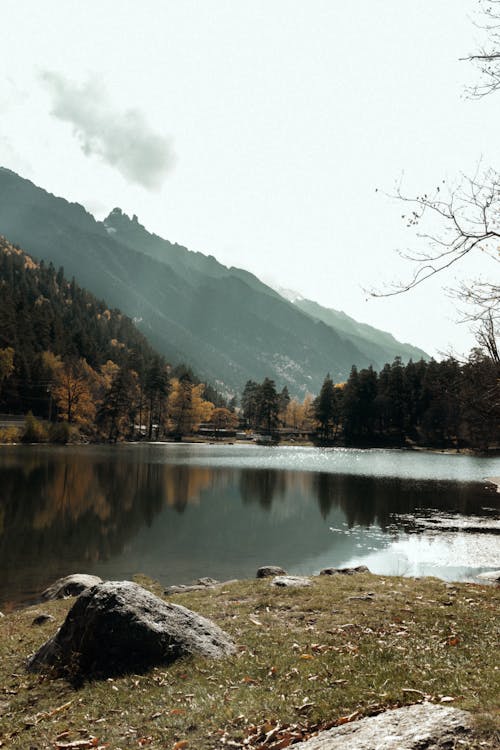 Calm lake surrounded by mountains and trees