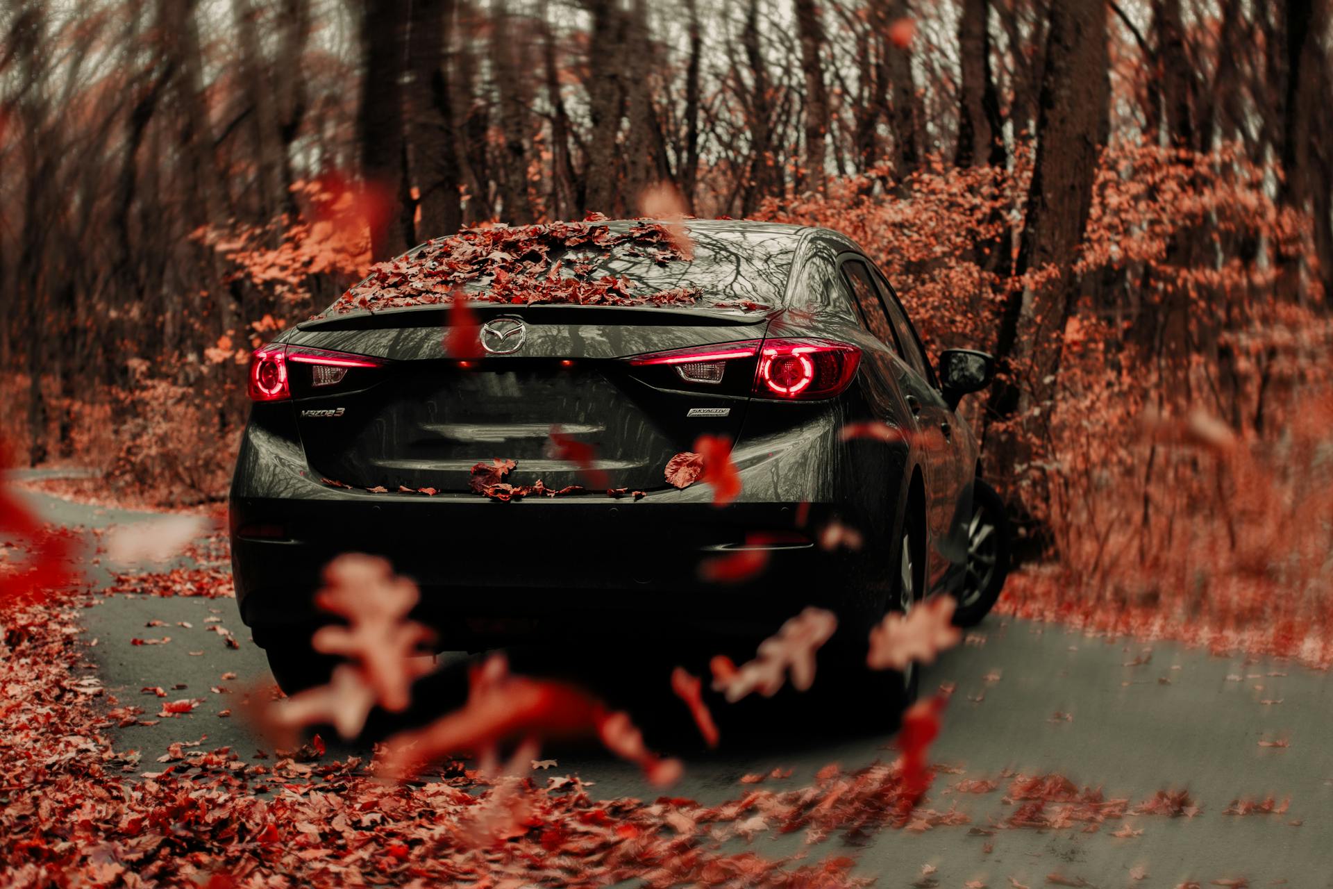 Contemporary black car turning on rural road on autumn day