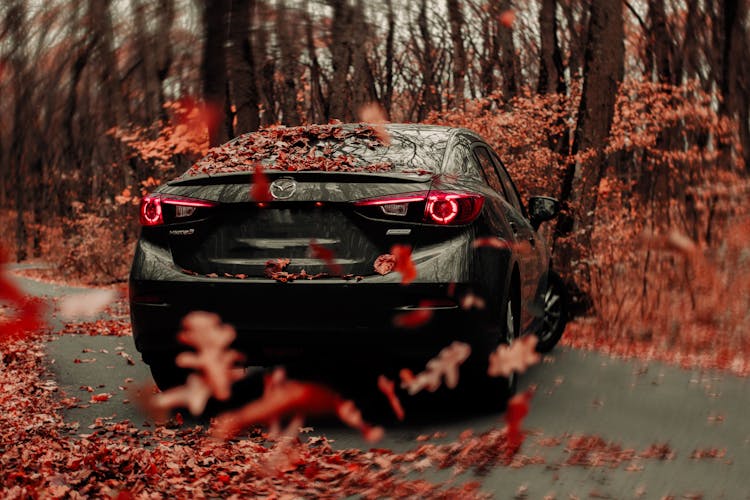 Contemporary Black Car Turning On Rural Road On Autumn Day