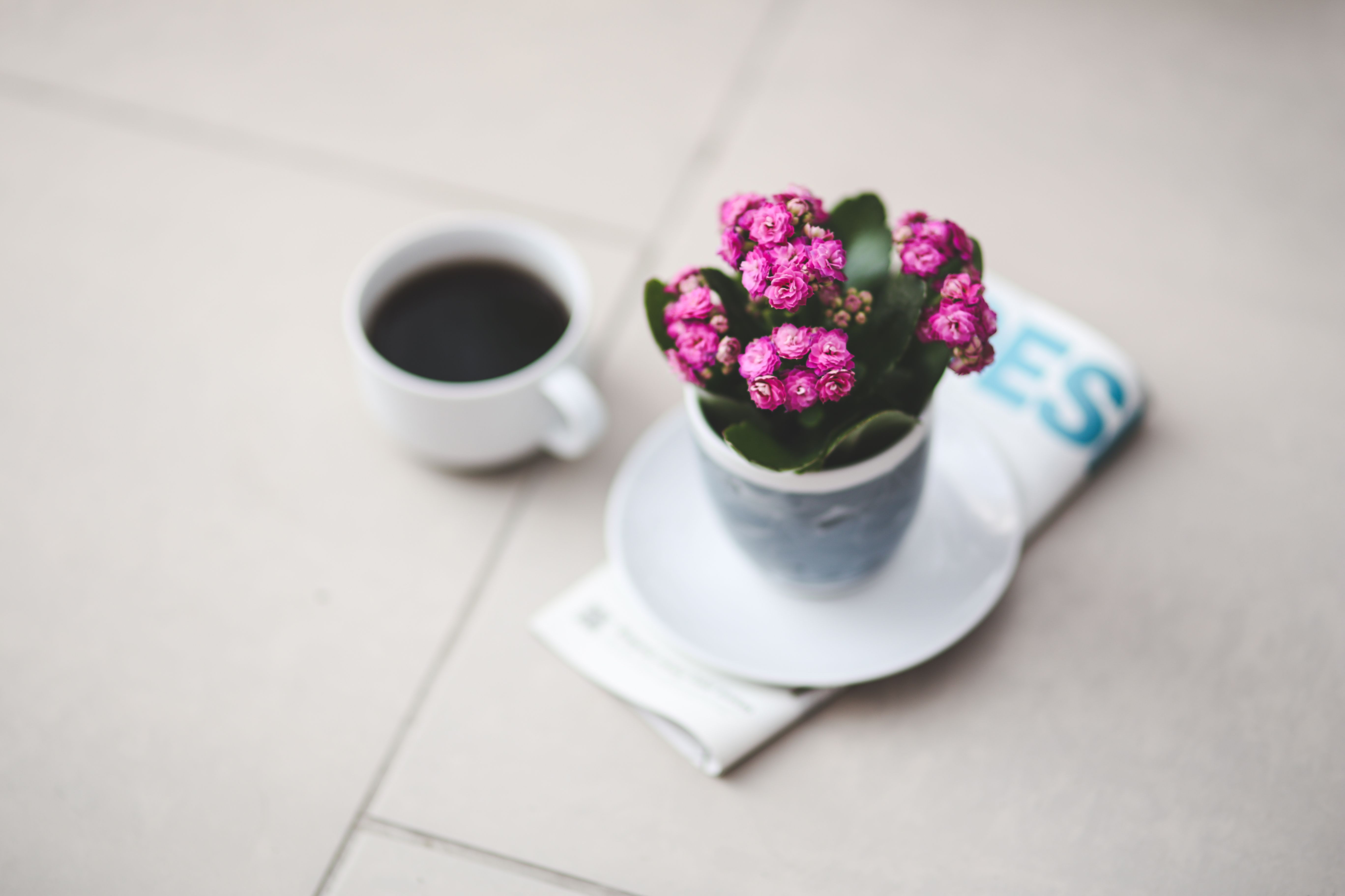 A cozy setup featuring a pink Kalanchoe plant and a cup of black coffee on a tiled floor.