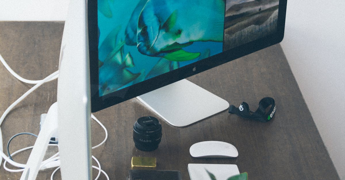 How to connect magic mouse to MacBook Pro