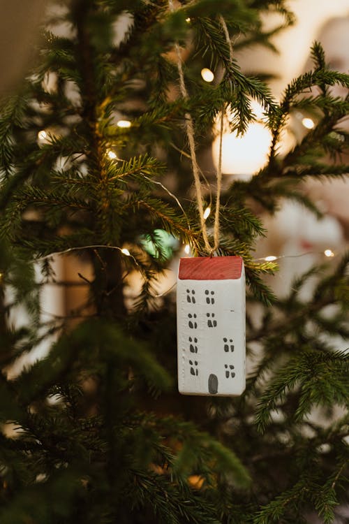 Decoration Hanging on a Christmas Tree