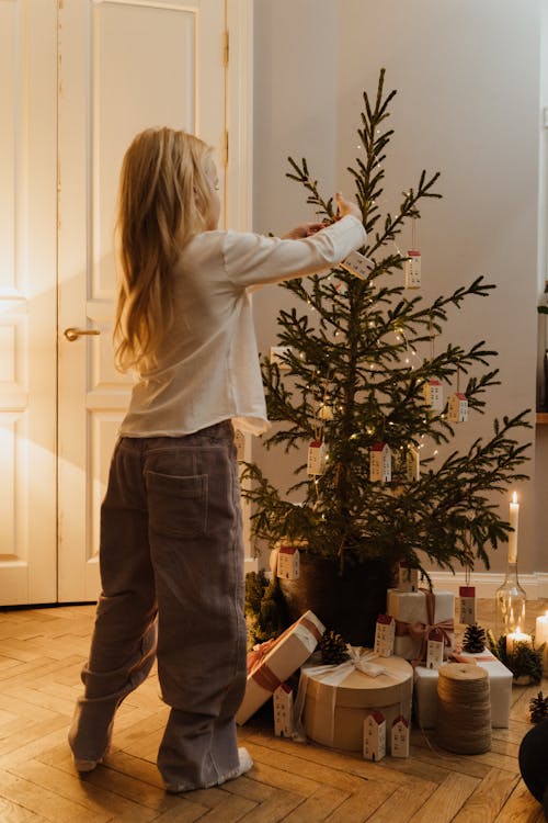 Fotobanka s bezplatnými fotkami na tému blondína, borovica, christmastide