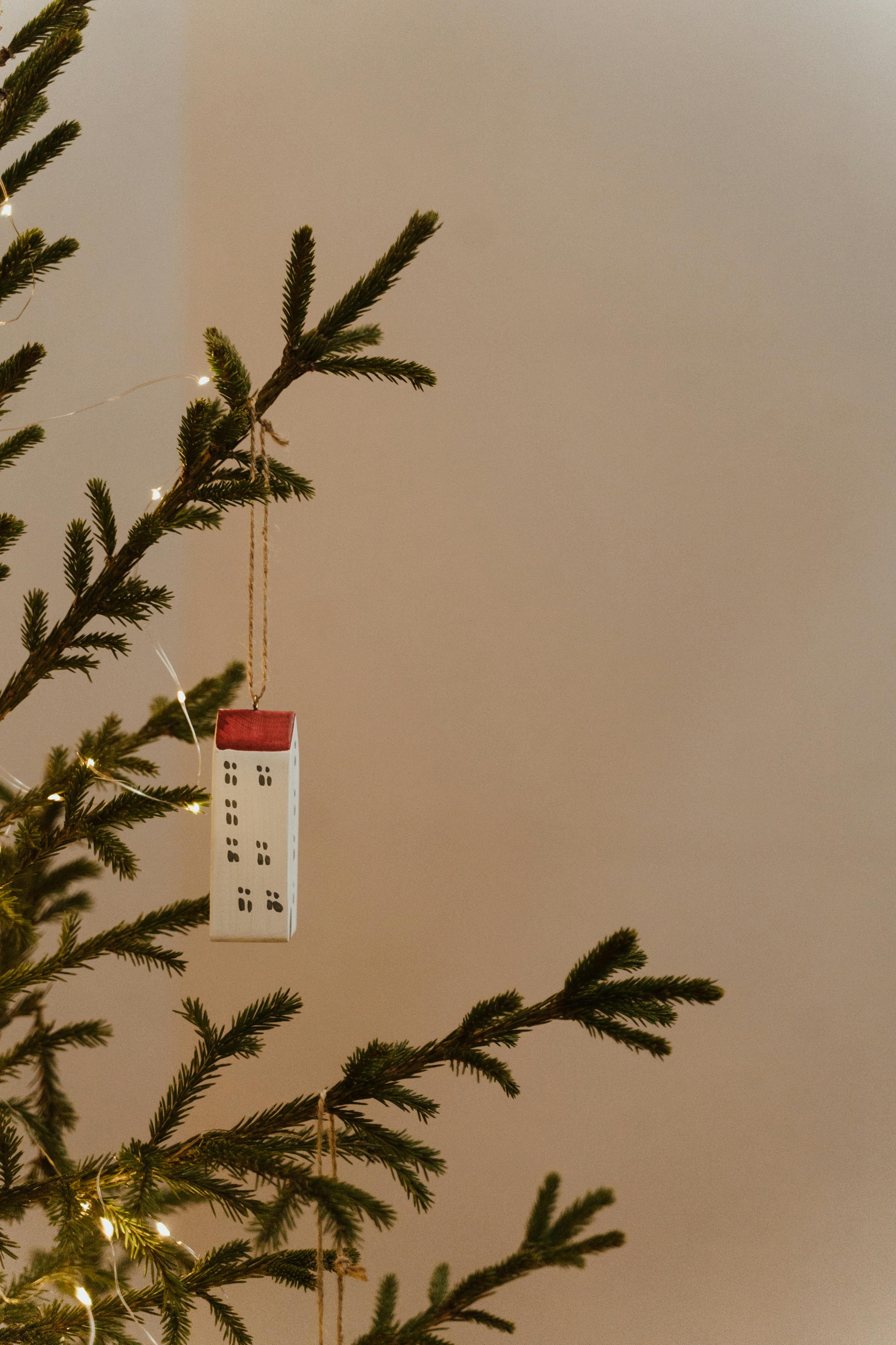A minimalist holiday decor with a small house ornament on a Christmas tree branch.