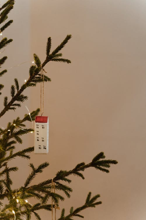 クリスマスツリー, デコレーション, ぶら下がりの無料の写真素材