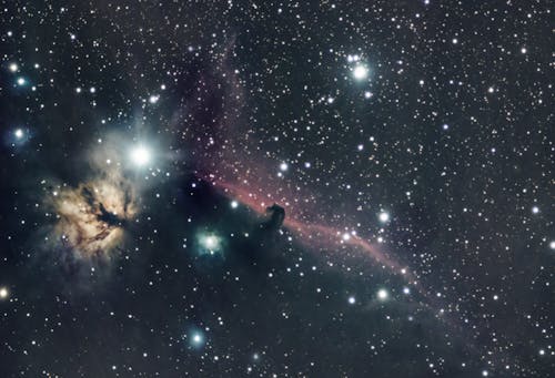 Gratis lagerfoto af astronomi, galakse, hestehoved nebula