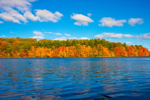 A Calm Lake Under the Blue Sky