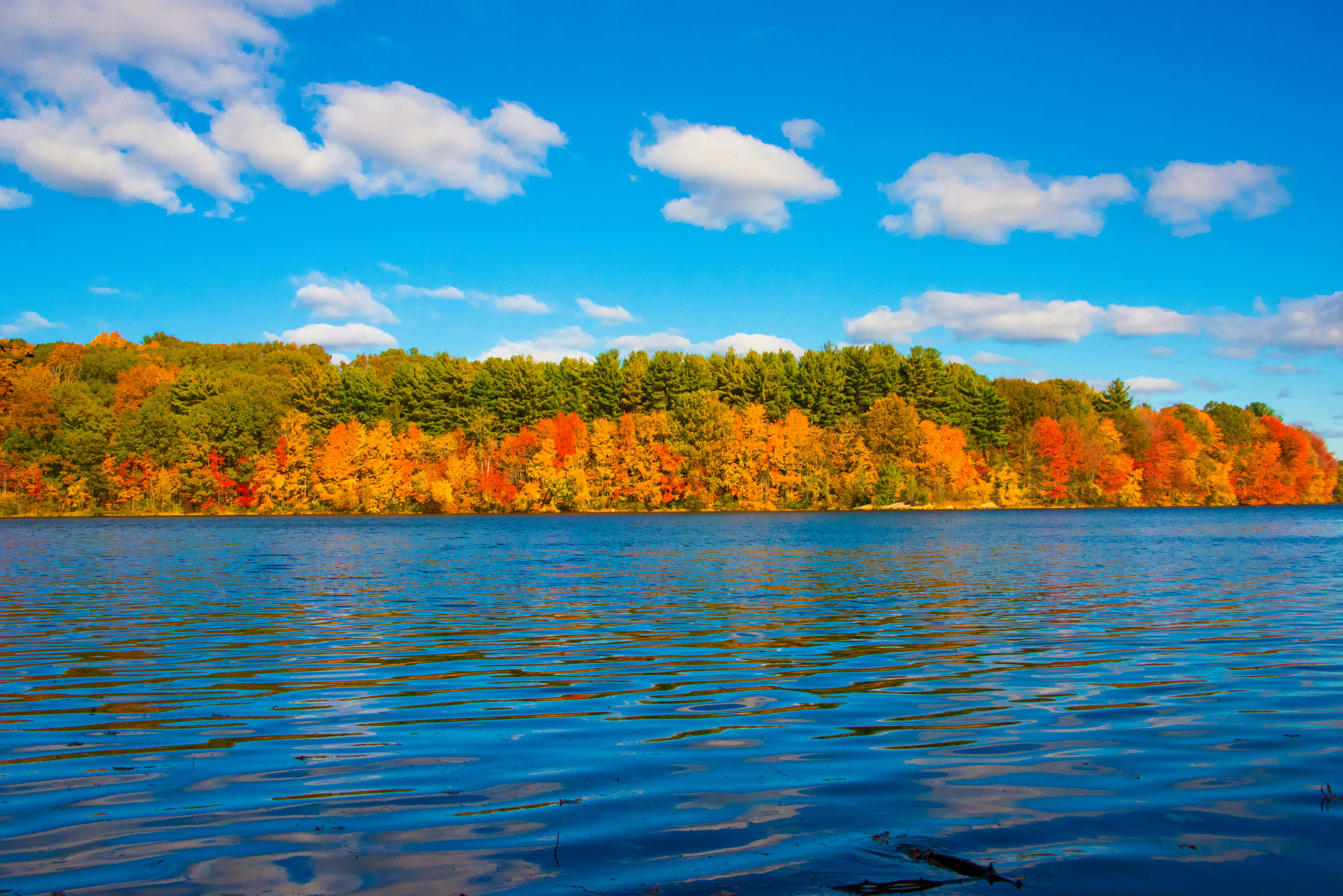 Pond in Autumn Surrounded by Colorful Trees Reflecting in the Calm Waters · Free  Stock Photo