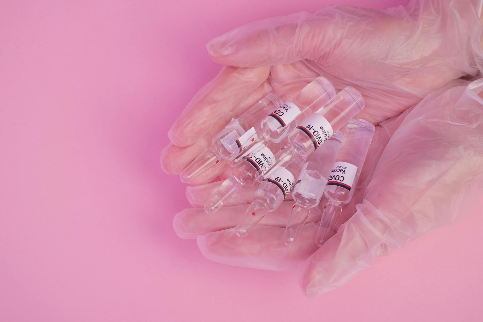 Top view of crop faceless female doctor in latex gloves demonstrating heap of ampoules with COVID vaccine against pink background