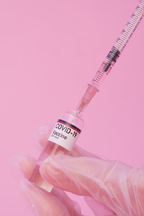 Free Crop anonymous female doctor in medical gloves filling syringe with COVID 19 vaccine from ampoule against pink background Stock Photo