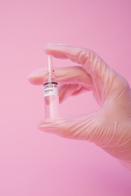 Crop unrecognizable female medic in latex gloves showing glass ampoule of coronavirus vaccine against pink background