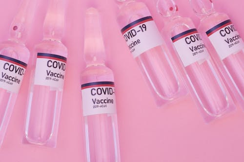 Free Coronavirus vaccine in glass ampoules on pink surface Stock Photo