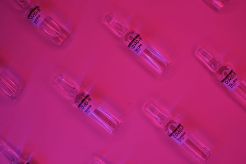 Free Top view of set of glass ampoules with COVID 19 vaccine arranged on bright pink surface under neon illumination Stock Photo