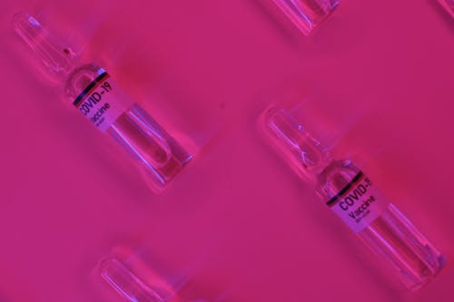 Ampoules with coronavirus vaccine adjuvants placed on pink desk
