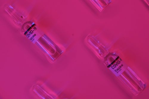 Free From above doses of COVID 19 vaccine in glass transparent ampoules placed on bright pink background in neon light Stock Photo