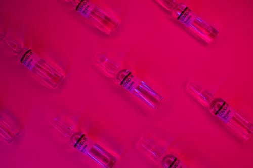 Layout of doses of coronavirus vaccine in glass transparent vials placed on bright fuchsia background in studio